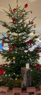 Unser klassischer Weihnachtsbaum